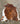 Brindle Cowhide