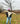 Lonesome Prairie