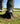 Ariat